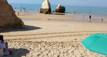 ALBUR VILLAGE luxe 1 ch , toiture terrasse, piscine, proche plage, wifi