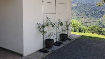 Um edifício com fachada branca e entrada de automóveis em cascalho. Duas plantas em vasos estão sobre um suporte de metal encostado na parede.