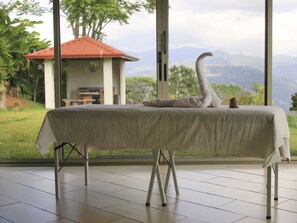 Interior - A home with beautiful mountain views. A Gem Close to Orosi. (Navarro)