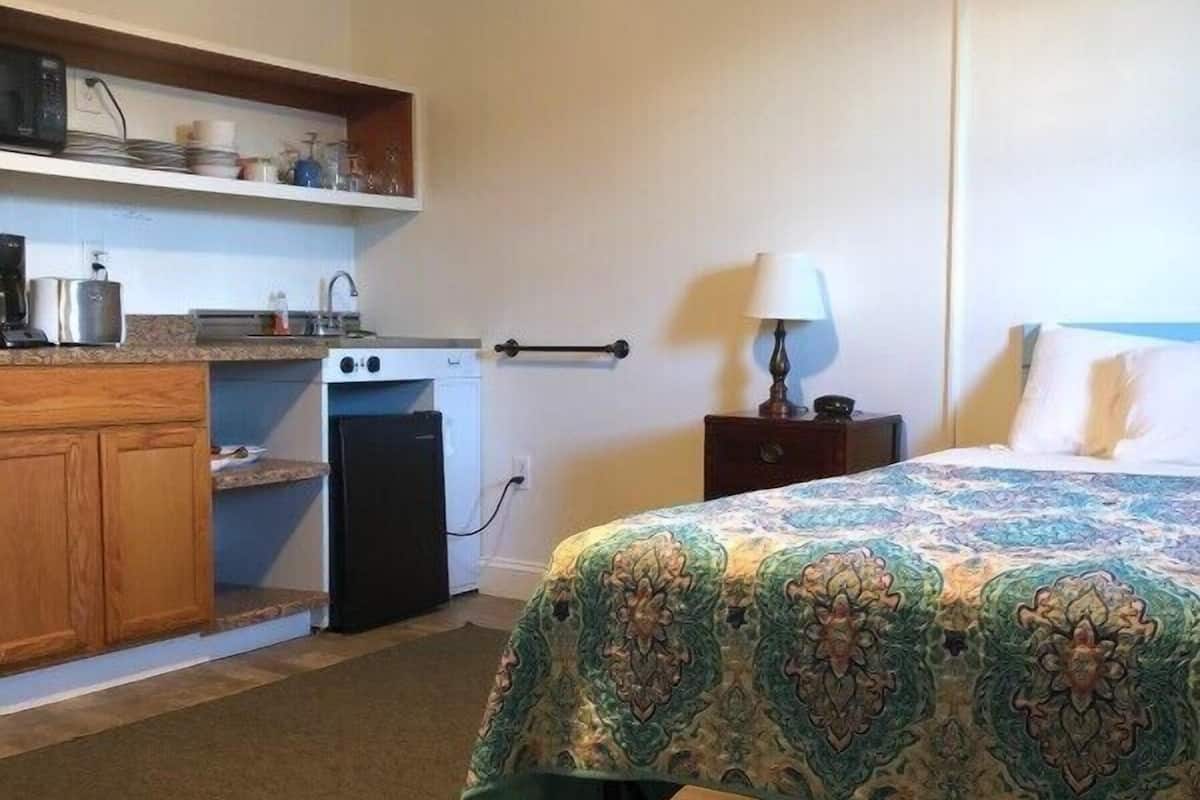 Standard Single Room, 1 Queen Bed, Non Smoking (Pet friendly Efficiency) | Individually decorated, individually furnished, iron/ironing board