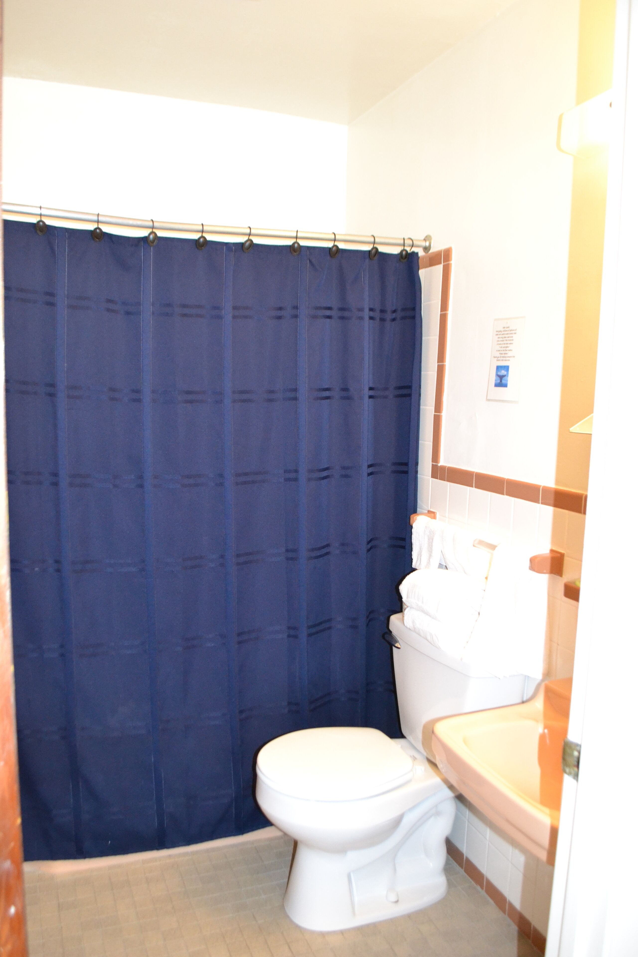 A bathroom with a white toilet, a blue shower curtain, and a sink with a mirror.