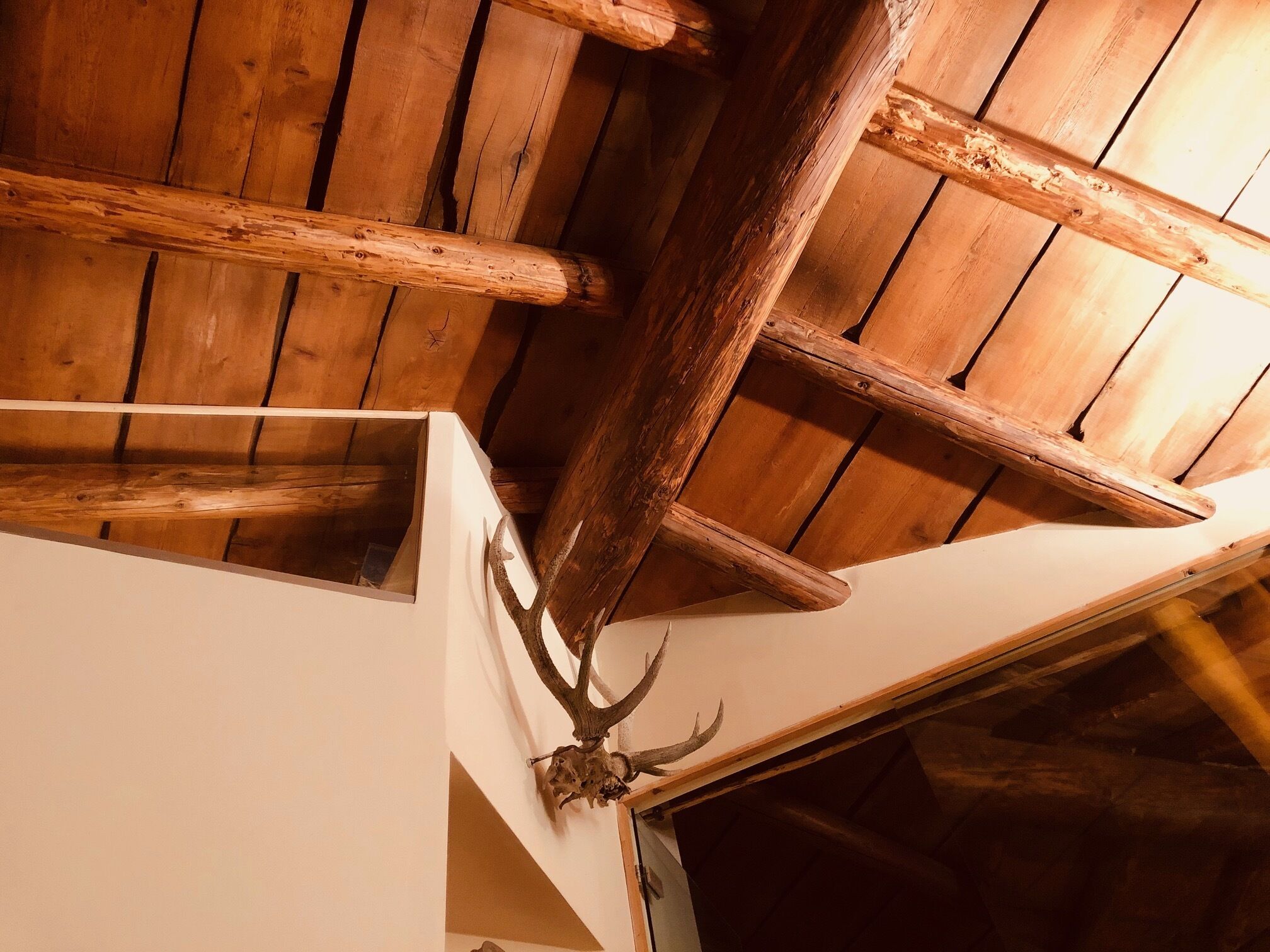 Techo de madera con vigas a la vista y un cuerno de ciervo colgado.