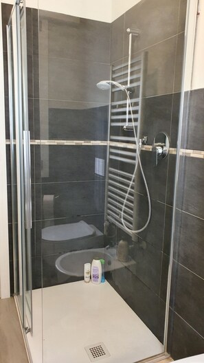 Shower, hair dryer, bidet, towels