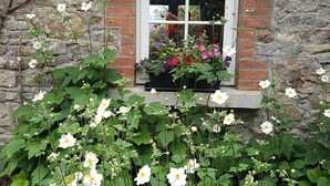 A stone building with a window and a flower box filled with various flowers. - Restored Historic Cottage in County Kilkenny (Carrickshock)