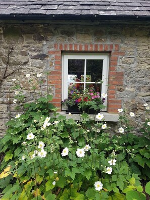 Detalle exterior