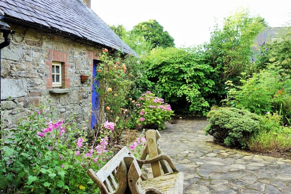 Front garden in July