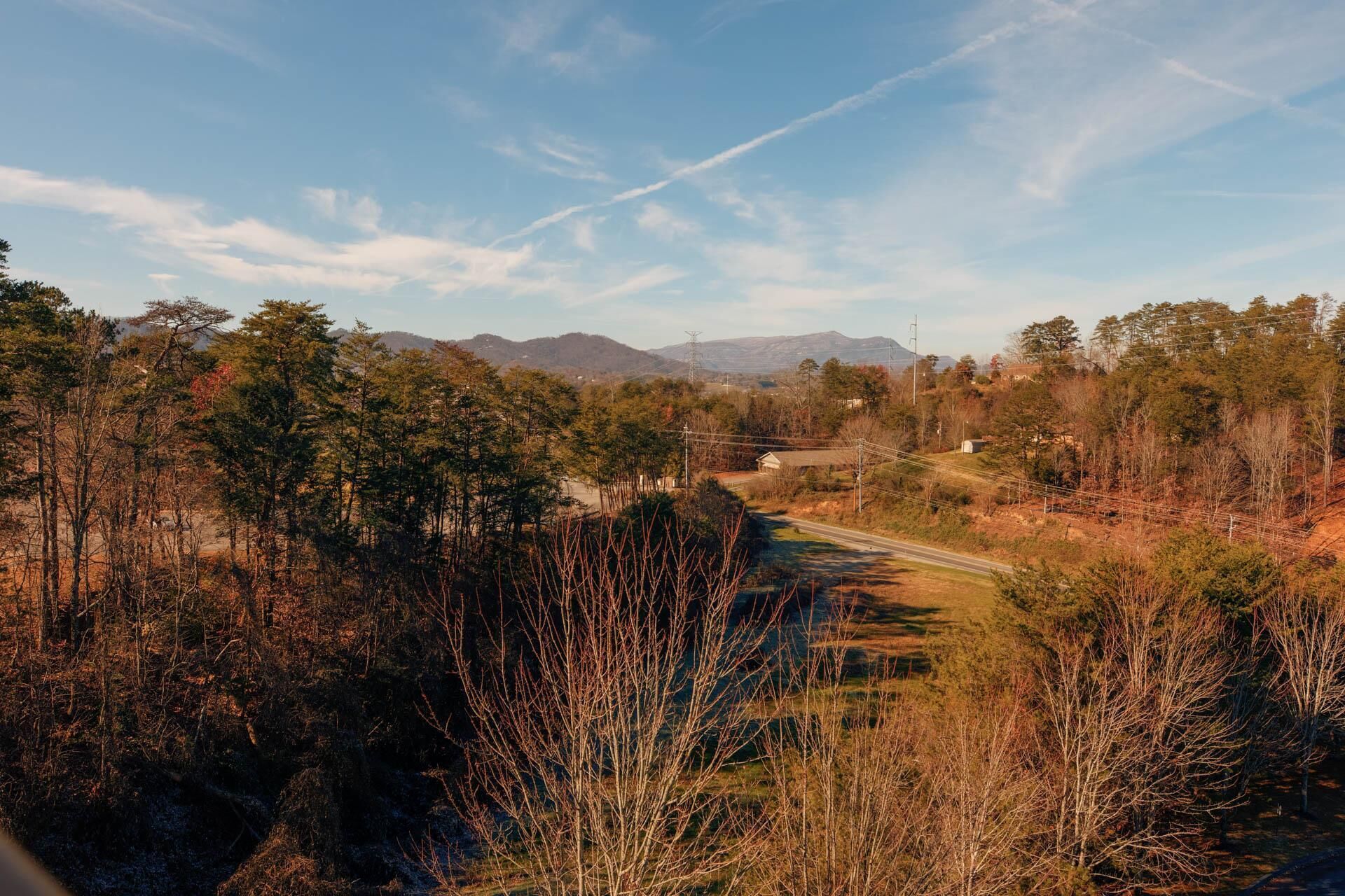 A road through a forested area with mountains in the background.