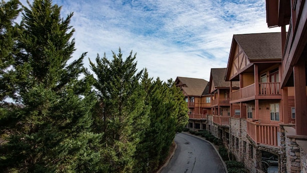Una fila di edifici in stile baita di legno con fondamenta in pietra, circondata da fitti alberi sempreverdi.