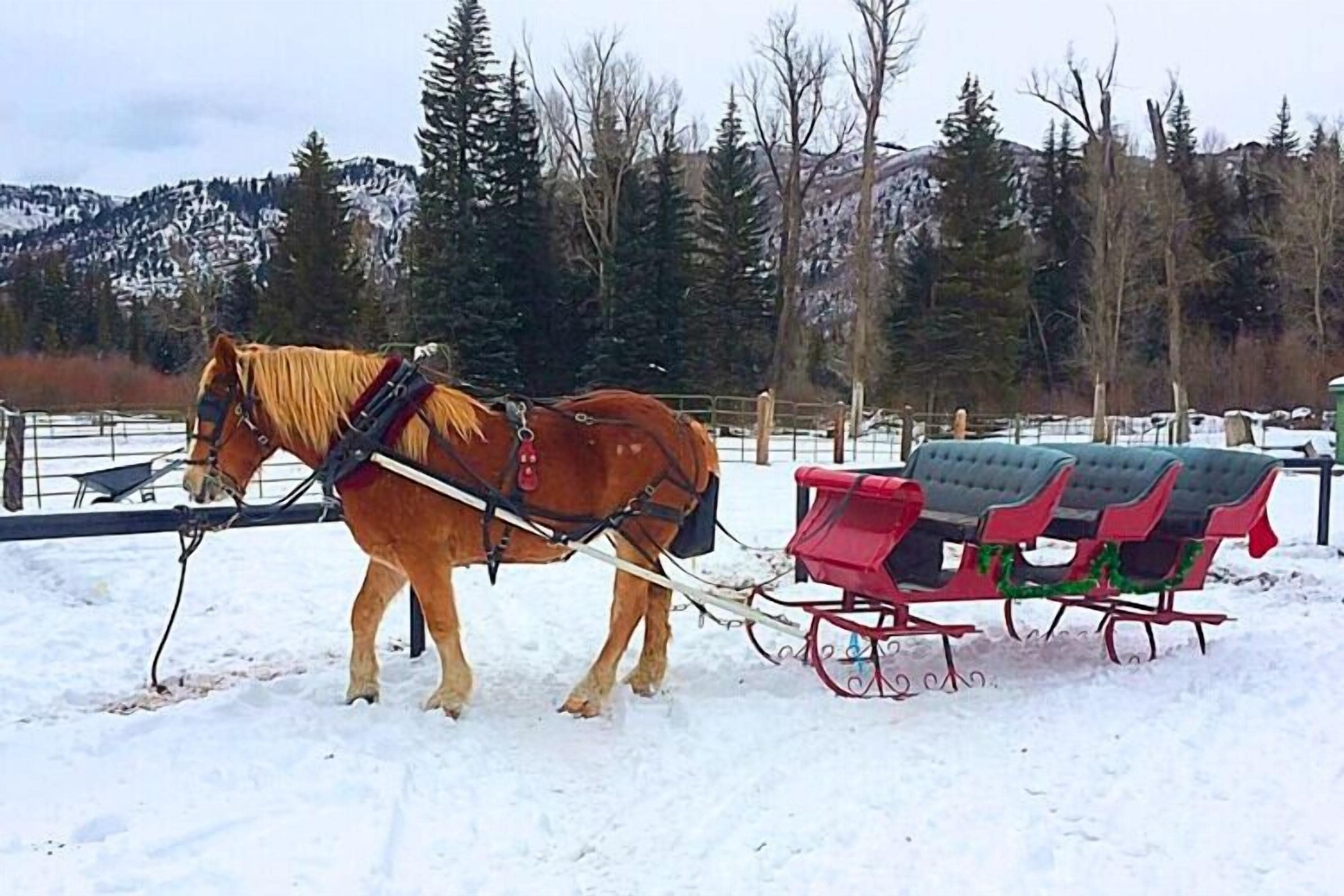 A horse-drawn sleigh in a snowy landscape with trees and mountains in the background.