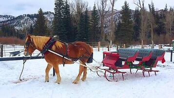 A horse-drawn sleigh in a snowy landscape with trees and mountains in the background.