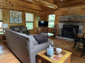 Un intérieur de chalet chaleureux avec un canapé, une télévision, une cheminée et des murs en bois.