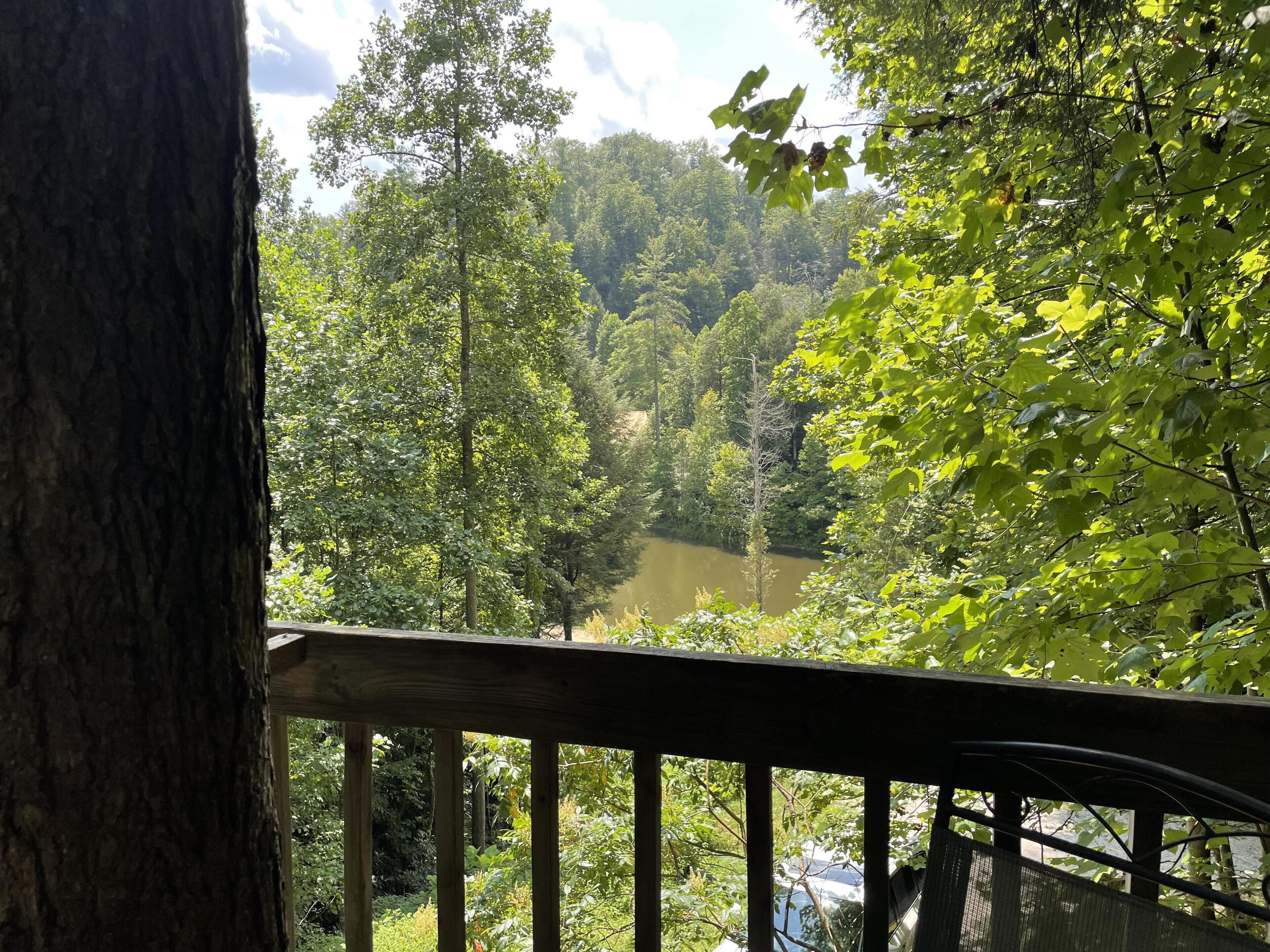 A view from a wooden deck overlooking a river surrounded by dense greenery.
