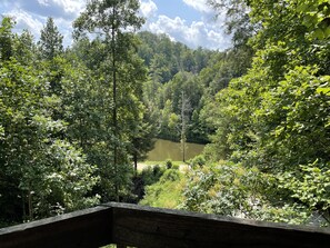 Property grounds - Secluded Cabin has its own private waterfall, hot tub and wi-fi (Rogers)