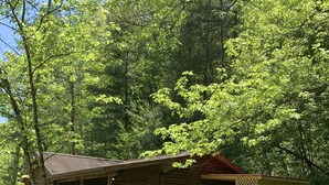 A rustic cabin with a wooden deck, surrounded by lush greenery.