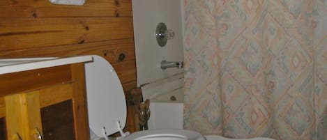 A bathroom with a wooden vanity, a toilet, and a shower curtain.