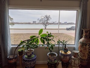 A view from a window overlooking a body of water with a tree in the distance, and several potted plants on a windowsill. - Riverside Home Minutes to Casino, Downtown, Bridge, UWindsor (Windsor)