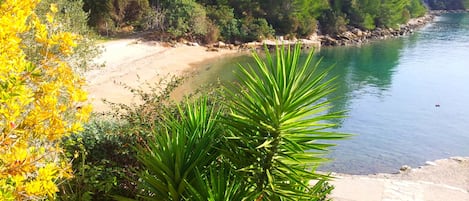 A coastal landscape with a sandy beach, dense greenery, and a clear blue sea.