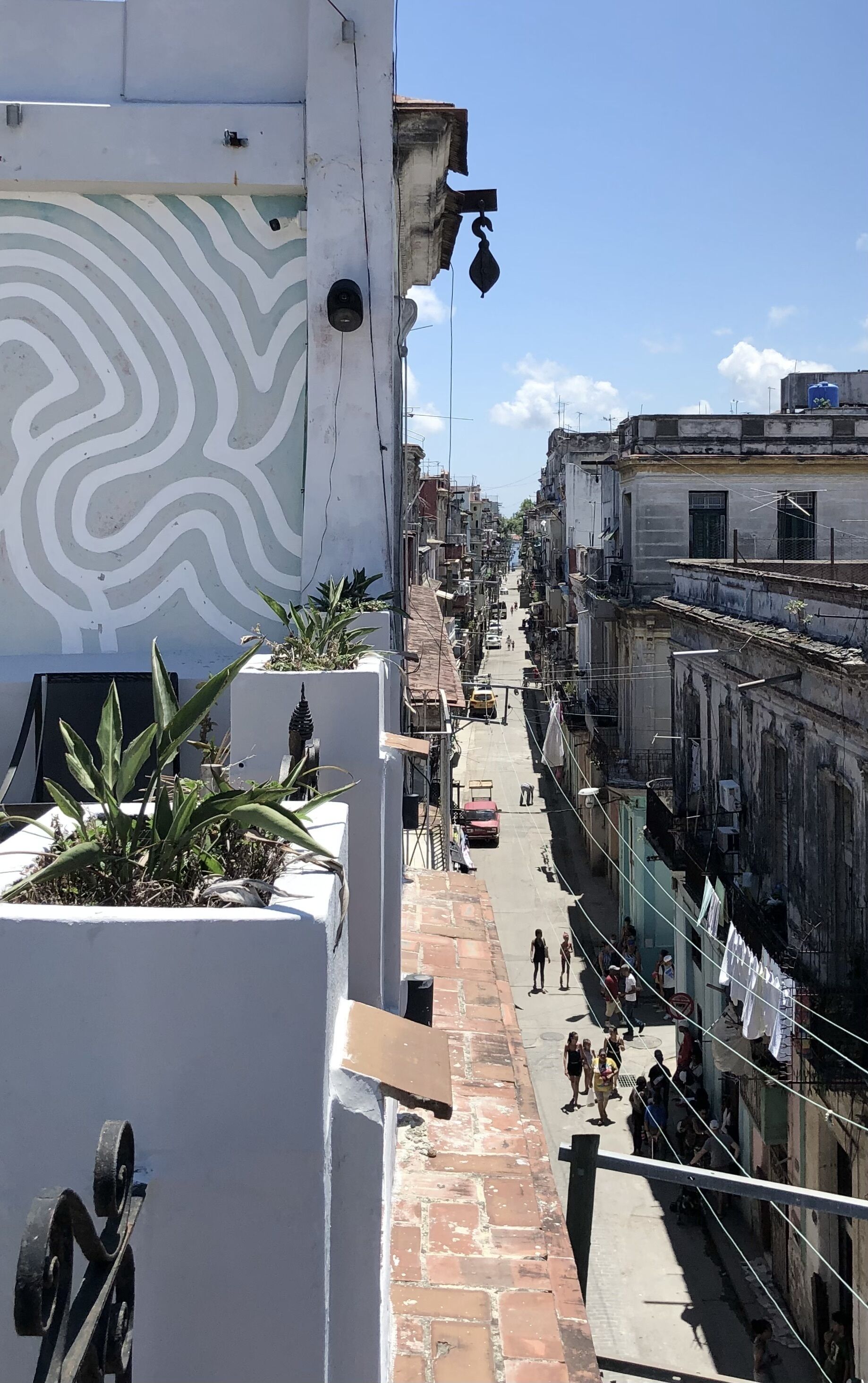 royal suite | city view