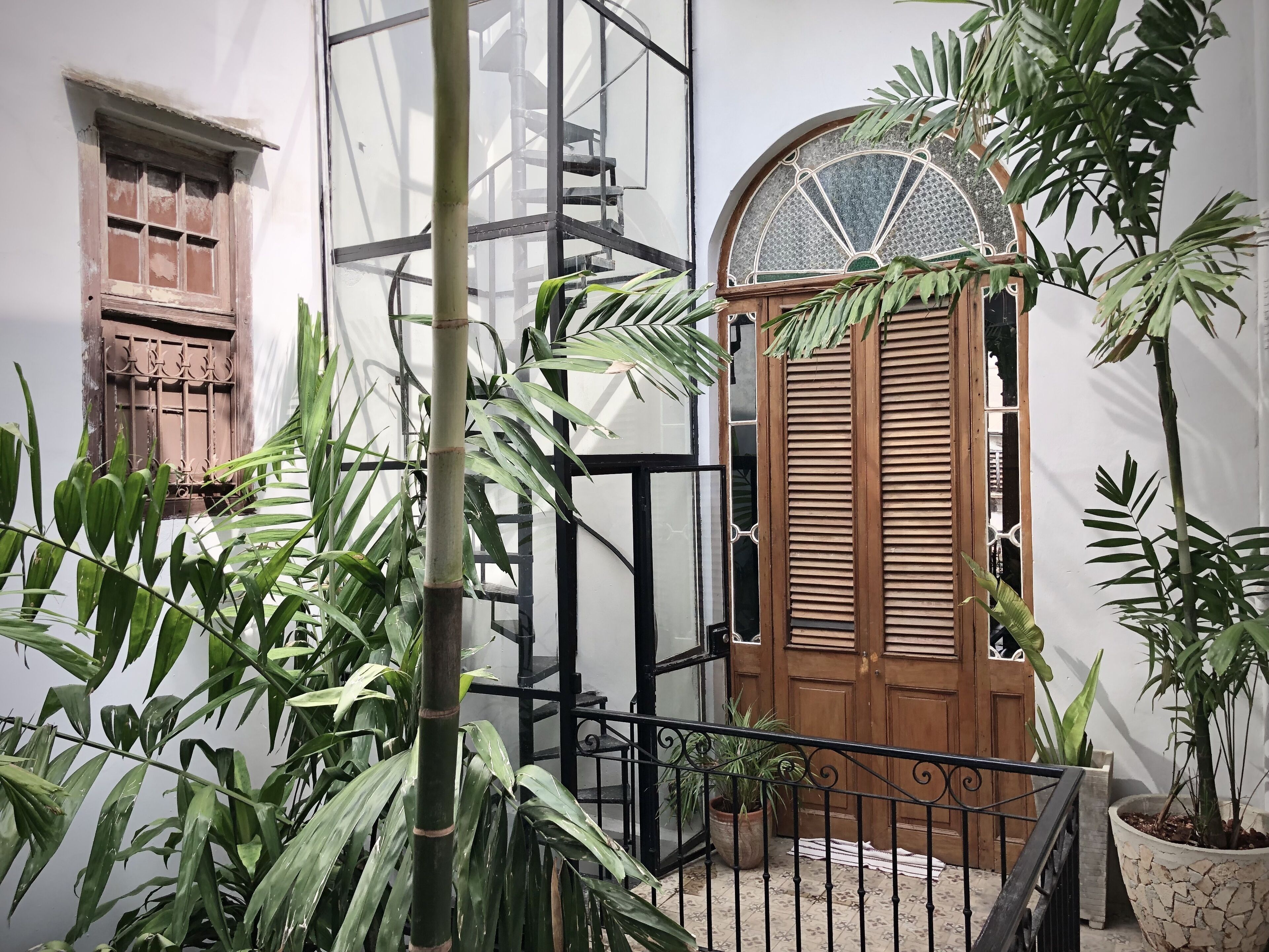 junior loft suite 2 | courtyard view