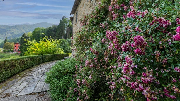 Un chemin de pierre mène à un bâtiment à la façade en pierre, qui est entouré d’une végétation luxuriante et de plantes en fleurs.