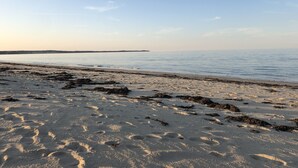 Una playa con arena y algas marinas, un cielo despejado y una línea de costa distante.