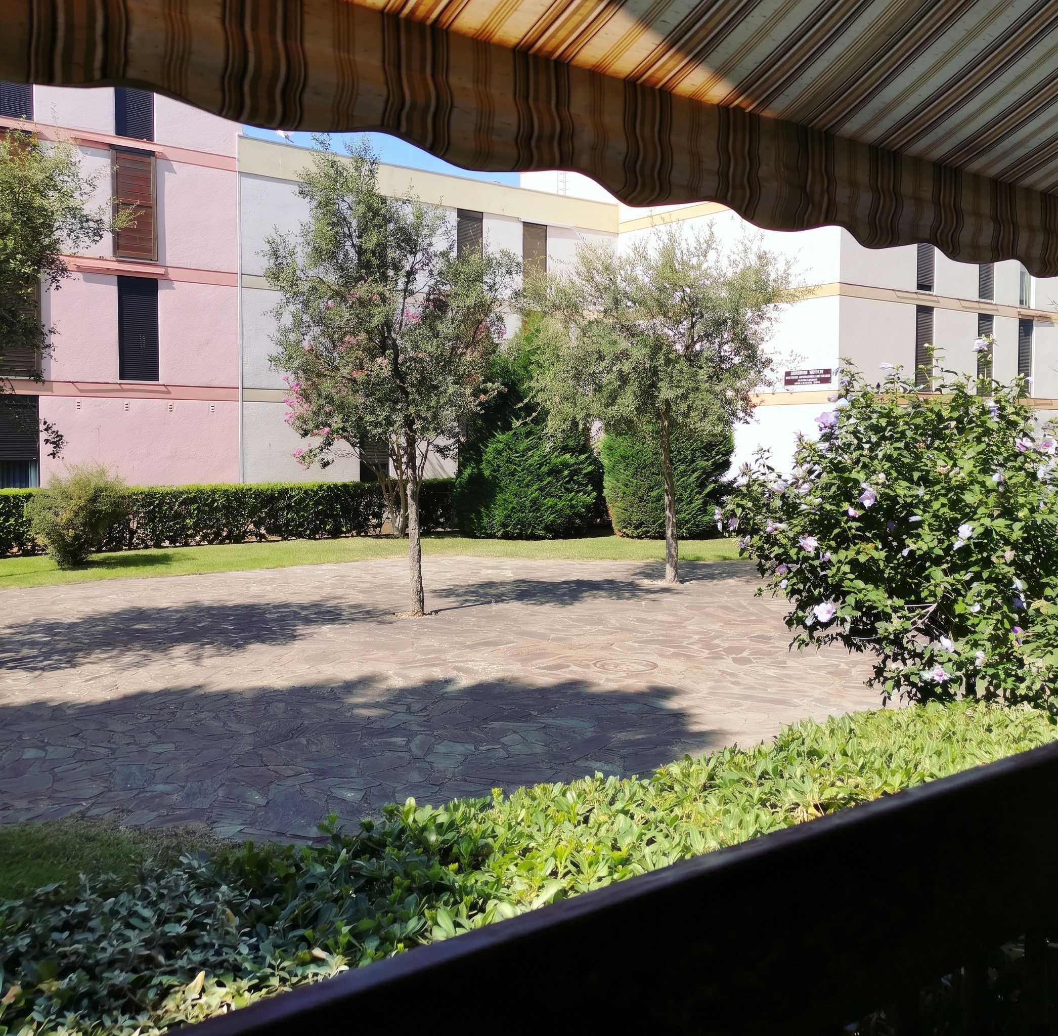 A courtyard with trees, a paved area, and a building with a modern design.