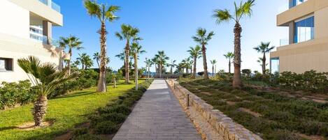 Terrein van de accommodatie