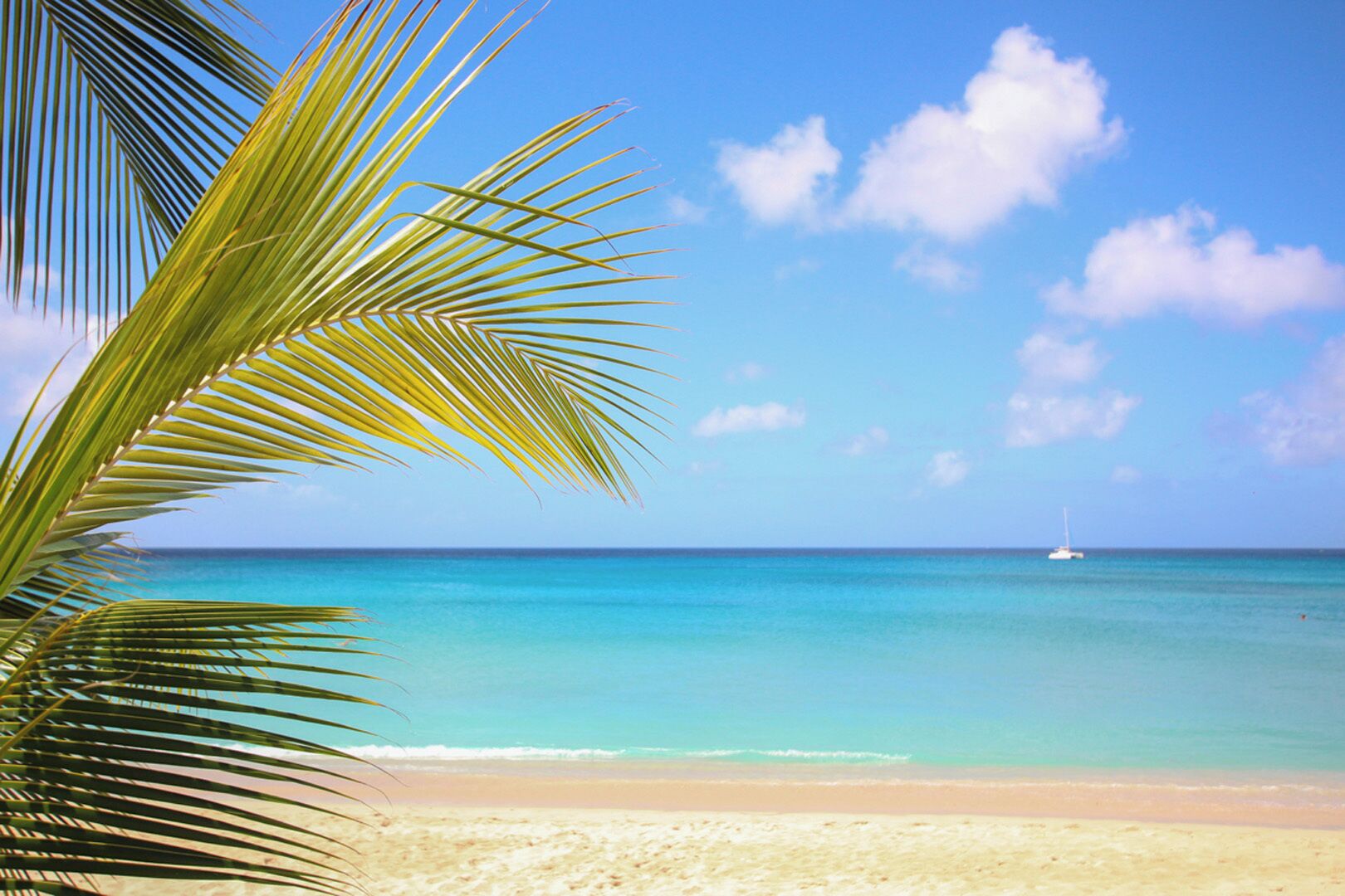 A beach with clear turquoise water, a sandy shore, and a sailboat in the distance.