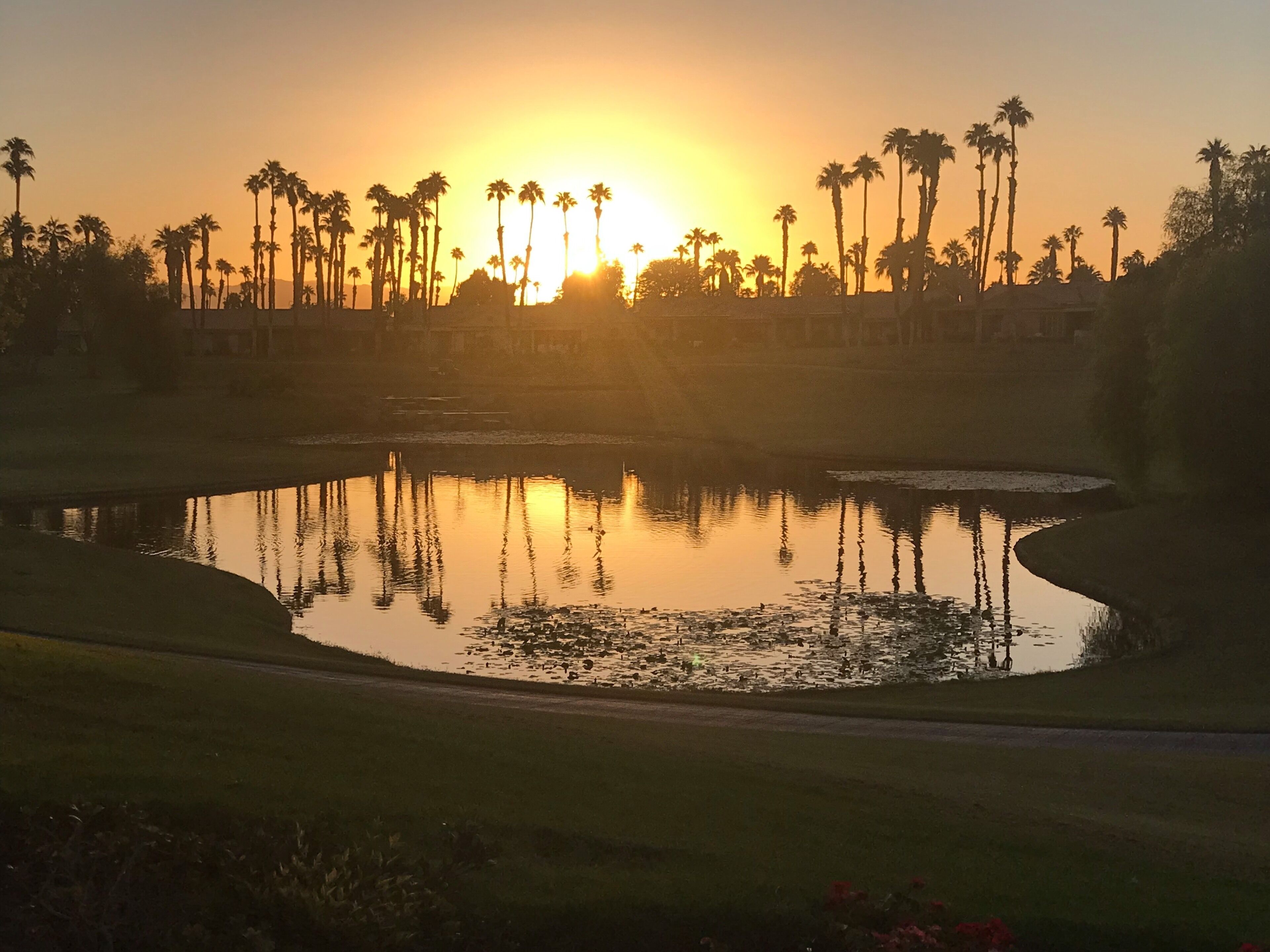 Beautiful Fairway View! 2BR/3BA/Office Newly Remodeled!