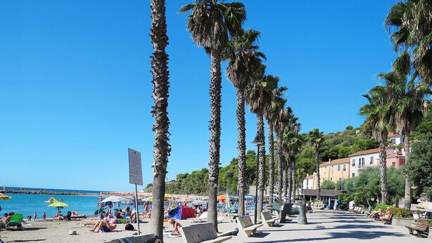 A beach with palm trees, benches, and umbrellas. - Cosy apartment for 4 people with WIFI, TV and patio (Imperia)