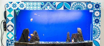 MISA HOUSE | CLOSE TO EVERYTHING | 2BR | HIGH VIEW