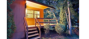 Christmas Mountain Village - 2 BR 2 BA cabin
