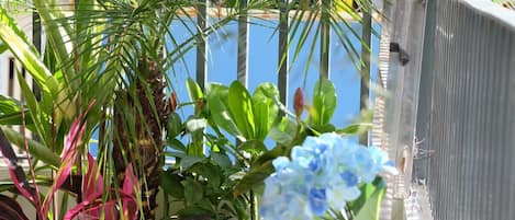 Family House | Private kitchen | Fridge, stovetop, rice cooker, cookware/dishes/utensils