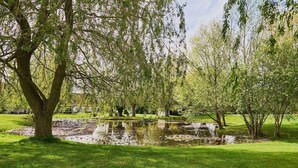 En lugn park med en damm, träd och en gräsyta.