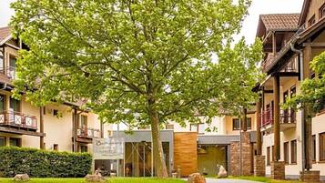 Ein Innenhof mit einem großen Baum, einem Schild und Gebäuden mit Balkonen.