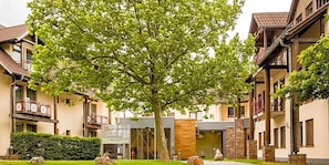 A courtyard with a large tree, a sign, and buildings with balconies.
