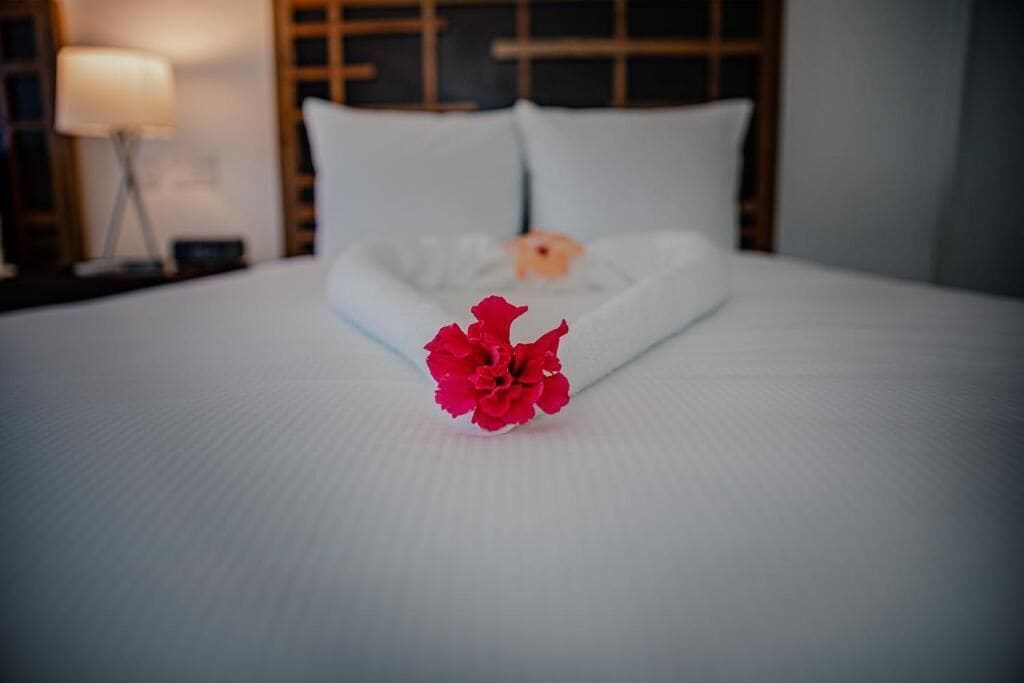 Una cama bien hecha con una flor roja en el centro, una almohada blanca y un cabecero de madera.