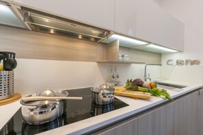 Fridge, oven, stovetop, dishwasher - Casa Basilico, Lugano, Switzerland (Lugano)