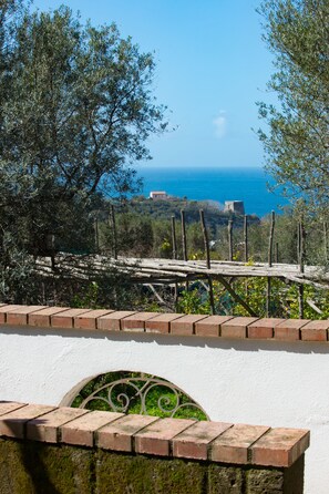 Apartment | Unterkunftsgelände