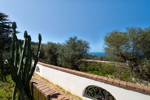 Apartment | Ausblick vom Zimmer