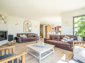 Televisión, chimenea y reproductor de DVD