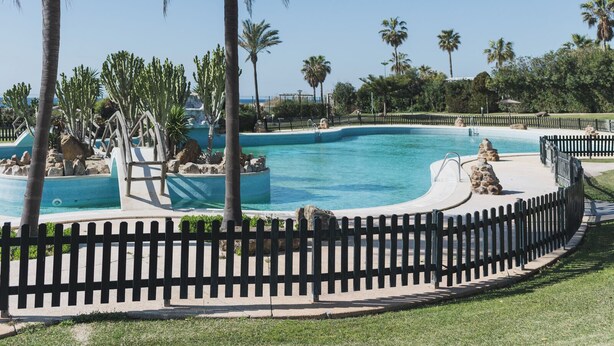 Une piscine entourée d’une clôture en bois, bordée de palmiers et de rochers.