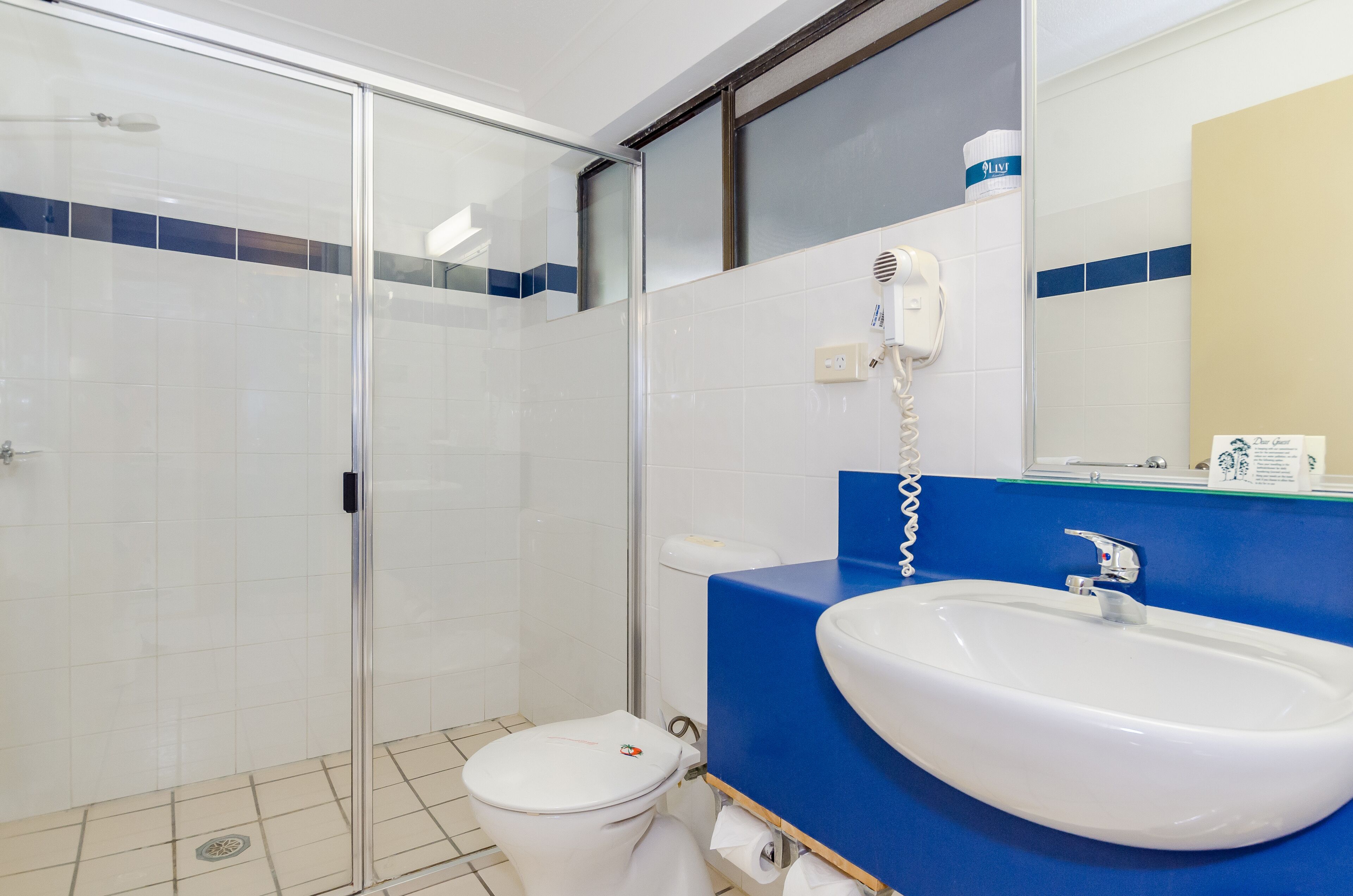 A bathroom with a glass shower enclosure, a white toilet, a blue sink, and a mirror above the sink.