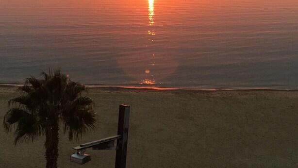 A sunset over a calm sea with a palm tree and a metal structure in the foreground. - Studio apartment on rural smallholding, 3km from beaches and amenities (L'Ampolla)