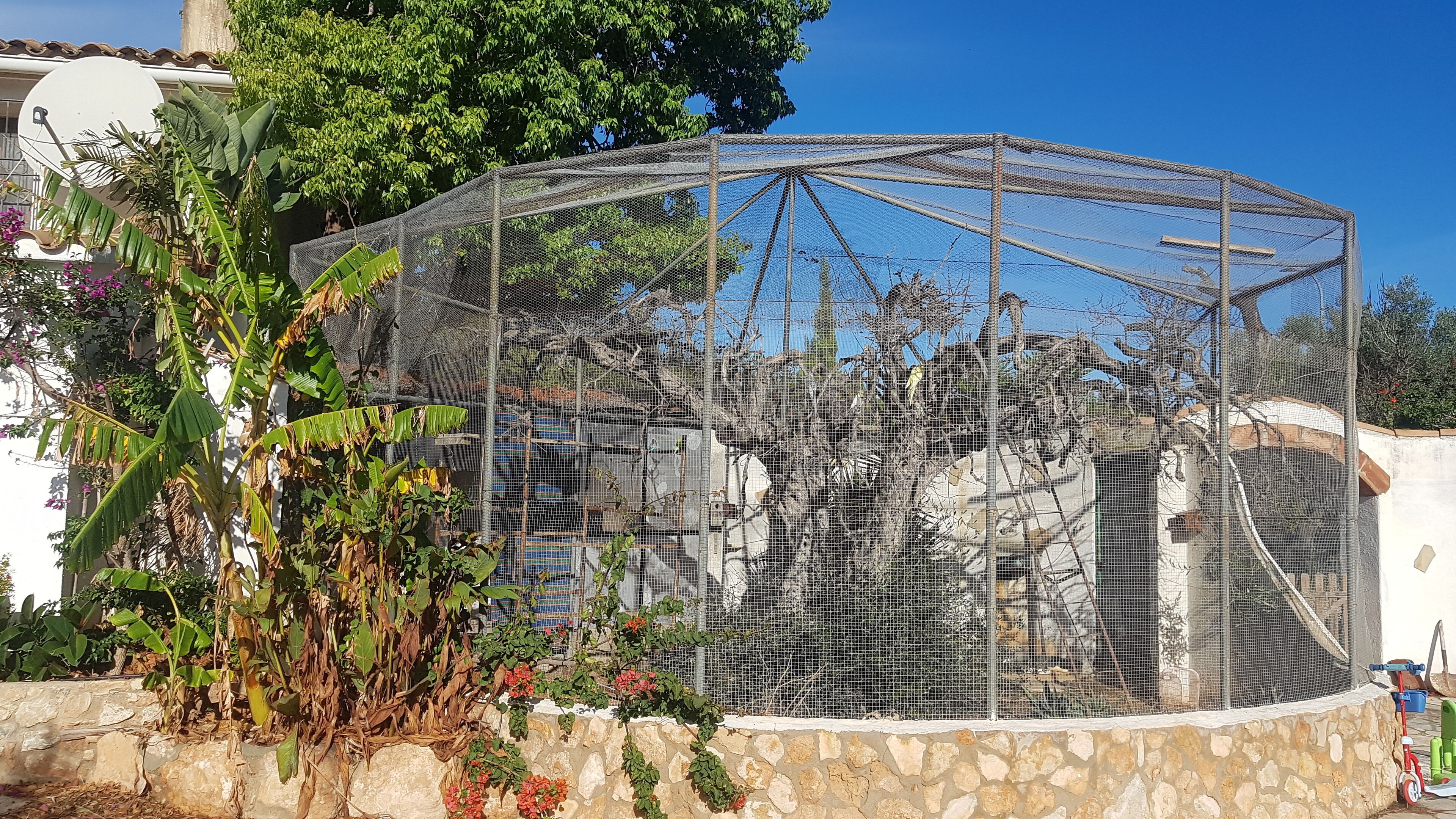 A bird enclosure with a stone wall and a metal mesh roof, surrounded by plants and trees.