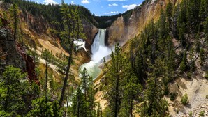 A natural landscape with a waterfall, surrounded by dense forest and rocky terrain. - Kimpton Armory Hotel Bozeman by IHG (Bozeman)