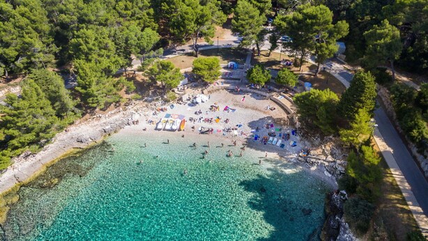 Eine Vogelperspektive zeigt einen Strand mit klarem, türkisblauem Wasser, umgeben von dichtem, grünen Pinienwald.