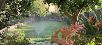 Il Giardino Dei Limoni