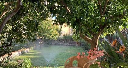 Il Giardino Dei Limoni