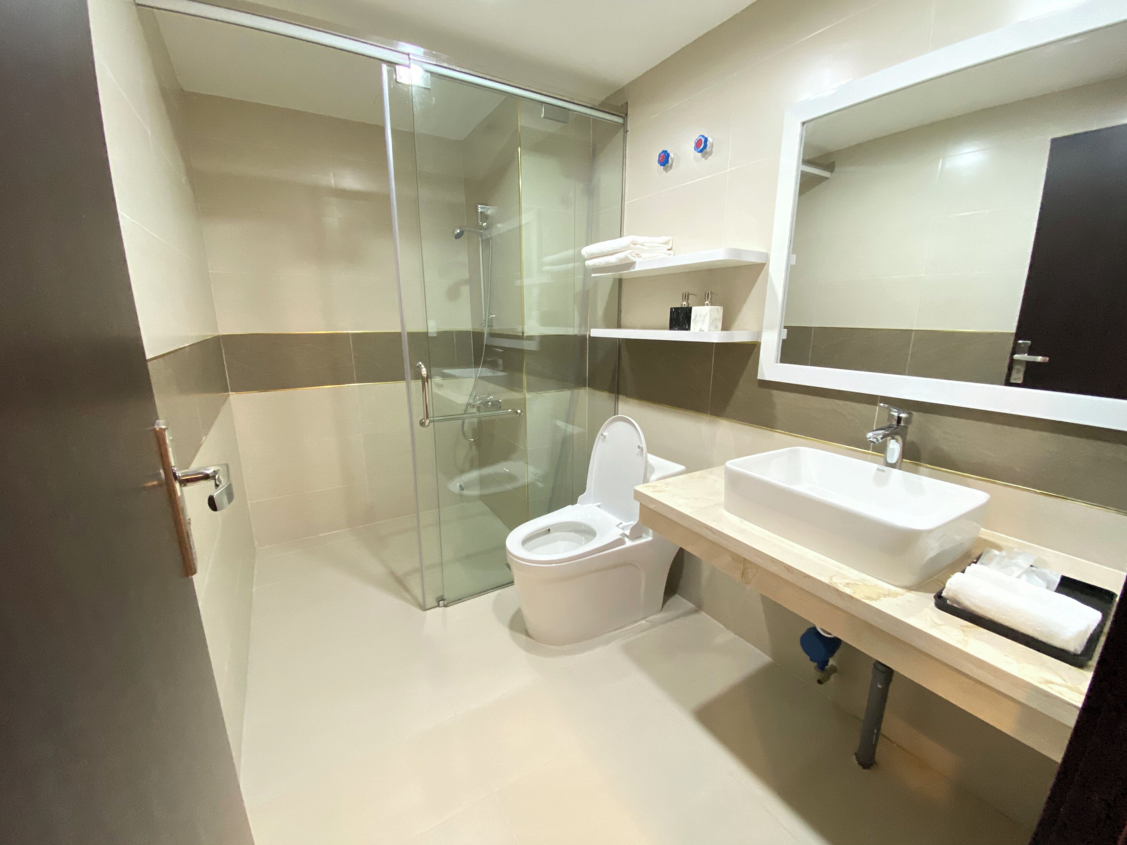 A modern bathroom with a glass shower enclosure, a white toilet, and a sink with a mirror above it.